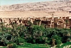 Pentax ME F Vintage SLR 35mm Film Camera With F/1.2 50mm Prime Lens -Film Camera Store pentax me f vintage slr 35mm film camera with f1 2 50mm prime lens 11