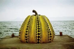 Pentax ME Vintage SLR 35mm Film Camera With F/1.2 50mm Prime Lens -Film Camera Store pentax me vintage slr 35mm film camera with f1 2 50mm prime lens 13