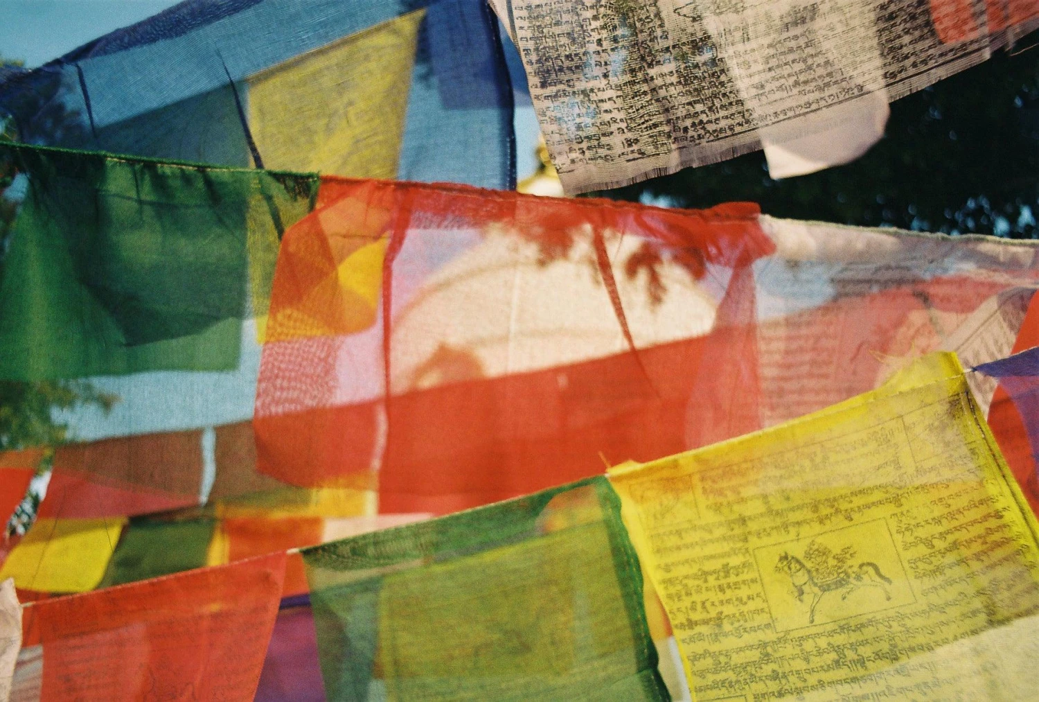 Praktica Sport 880s 35mm Film Camera Point And Shoot 11 Praktica Sport 880s 35mm Film Camera Point And Shoot - Image 9