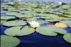 Praktica Vintage Metal 35mm SLR Film Camera With Prime Lens -Film Camera Store praktica vintage metal 35mm slr film camera with prime lens 13