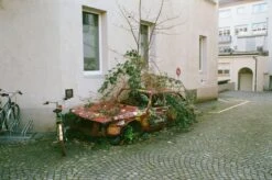 Ricoh 500RF Rangefinder 35mm Film Camera With Rikenon 40mm F2.8 Lens -Film Camera Store ricoh 500rf rangefinder 35mm film camera with rikenon 40mm f2 8 lens 8