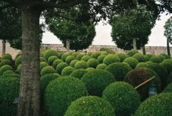 Ricoh 500RF Rangefinder 35mm Film Camera With Rikenon 40mm F2.8 Lens -Film Camera Store ricoh 500rf rangefinder 35mm film camera with rikenon 40mm f2 8 lens 9