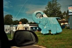 Ricoh FF-1s 35mm Film Camera Point And Shoot -Film Camera Store ricoh ff 1s 35mm film camera point and shoot 13