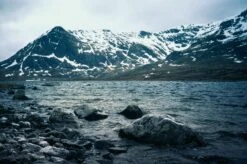 Ricoh FF 70 35mm Film Camera Point And Shoot 21 Ricoh FF 70 35mm Film Camera Point And Shoot -Film Camera Store ricoh ff 70 35mm film camera point and shoot 10