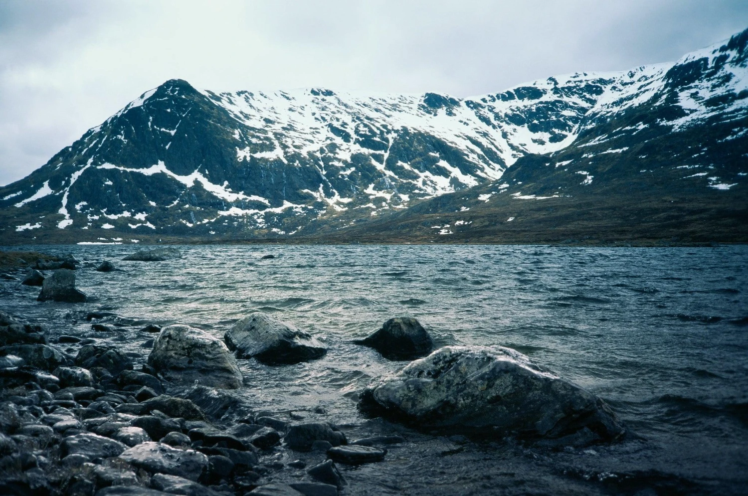 Ricoh FF 70 35mm Film Camera Point And Shoot 12 Ricoh FF 70 35mm Film Camera Point And Shoot - Image 10