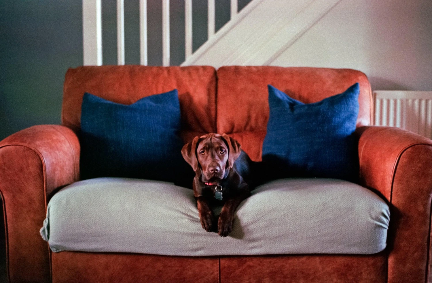 Ricoh FF 70 35mm Film Camera Point And Shoot 10 Ricoh FF 70 35mm Film Camera Point And Shoot - Image 8