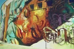 Ricoh KR-10M Auto 35mm Film Camera With 50mm Lens -Film Camera Store ricoh kr 10m auto 35mm film camera with 50mm lens 11