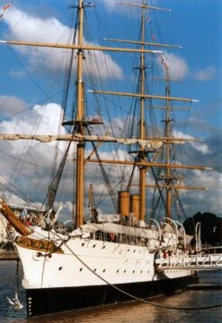 Ricoh SingleX TLS 35mm Film Camera With F/2.2 55mm Lens -Film Camera Store ricoh singlex tls 35mm film camera with f2 2 55mm lens 5