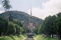 Ricoh SingleX TLS 35mm Film Camera With F/2.2 55mm Lens -Film Camera Store ricoh singlex tls 35mm film camera with f2 2 55mm lens 7