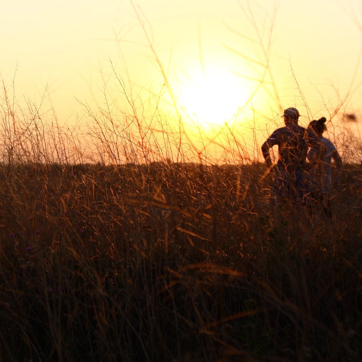 Sunactinon 28mm F/2.8 Camera Lens 9 Sunactinon 28mm F/2.8 Camera Lens - Image 7