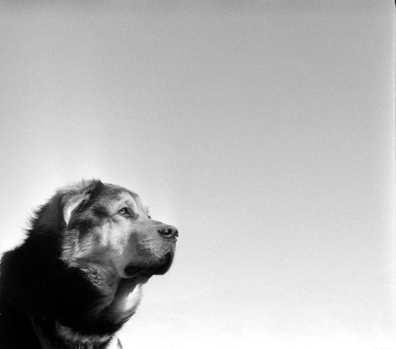 Tamron 28mm F/3.5 Camera Lens 8 Tamron 28mm F/3.5 Camera Lens - Image 6