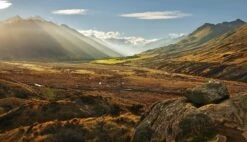 Tokina 28mm F/2.8 Camera Lens -Film Camera Store tokina 28mm f2 8 camera lens 6