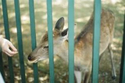 Tokina 28mm F/2.8 Camera Lens -Film Camera Store tokina 28mm f2 8 camera lens 8