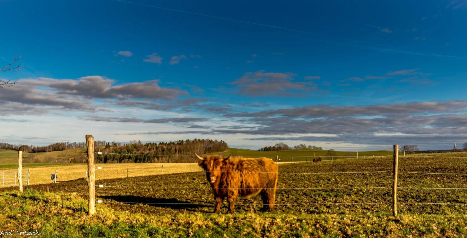 Tokina 28mm F/3.5 Camera Lens 4 Tokina 28mm F/3.5 Camera Lens - Image 2