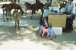 Tokina RMC 28mm F/2.8 Camera Lens -Film Camera Store tokina rmc 28mm f2 8 camera lens 8