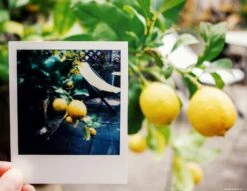 Vintage Polaroid Instant Film Land Camera 1000 -Film Camera Store vintage polaroid instant film land camera 1000 8