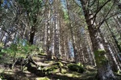 Vivitar 28mm F/3.5 Camera Lens -Film Camera Store vivitar 28mm f3 5 camera lens 9