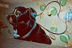 Yashica 230-AF Auto 35mm Film Camera W/f1.8 50mm Lens And Flash -Film Camera Store yashica 230 af auto 35mm film camera wf1 8 50mm lens and flash 8