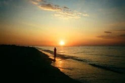 Yashica T5 Black 35mm Film Camera Point And Shoot 37 Yashica T5 Black 35mm Film Camera Point And Shoot -Film Camera Store yashica t5 black 35mm film camera point and shoot 18