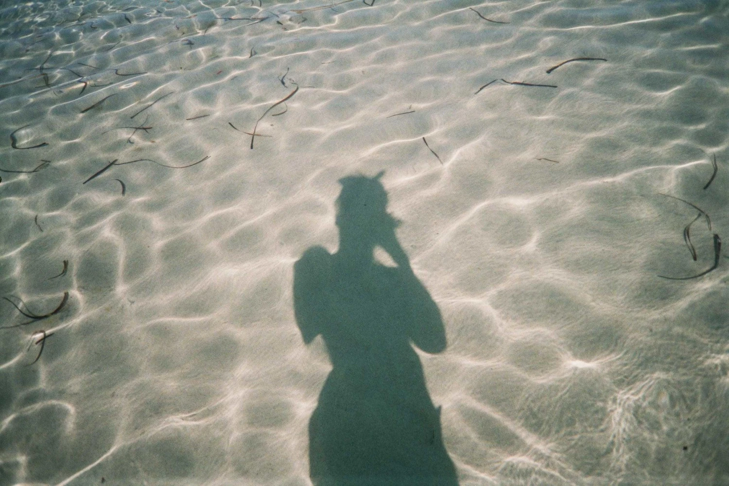 Yellow Underwater Focus Free 35mm Point And Shoot Film Camera 13 Yellow Underwater Focus Free 35mm Point And Shoot Film Camera - Image 11