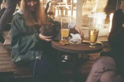 Zenit 11 Black Vintage Metal 35mm SLR Film Camera With Prime Lens 24 Zenit 11 Black Vintage Metal 35mm SLR Film Camera With Prime Lens -Film Camera Store zenit 11 black vintage metal 35mm slr film camera with prime lens 7