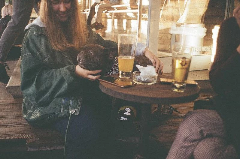 Zenit 11 Black Vintage Metal 35mm SLR Film Camera With Prime Lens 9 Zenit 11 Black Vintage Metal 35mm SLR Film Camera With Prime Lens - Image 7