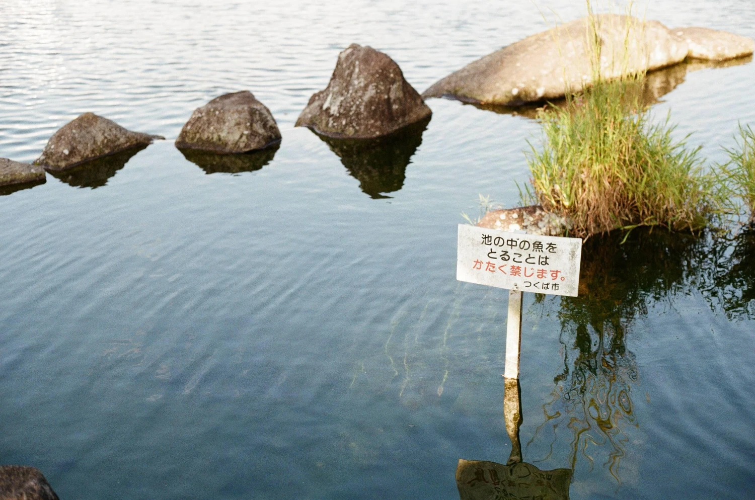 Zenit-122 50th Anniversary KMZ Special Edition 35mm Film Camera With 58mm Helios F1.8 Lens. 4 Zenit-122 50th Anniversary KMZ Special Edition 35mm Film Camera With 58mm Helios F1.8 Lens. - Image 2